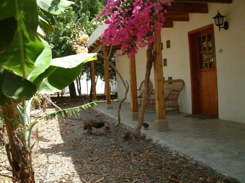 Cho Manuel Residence Maspalomas  Buitenkant foto
